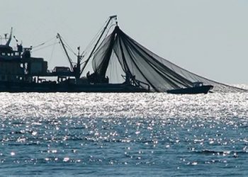 Penangkapan Ikan dengan Cantrang Hasilkan Emisi Karbon yang Signifikan