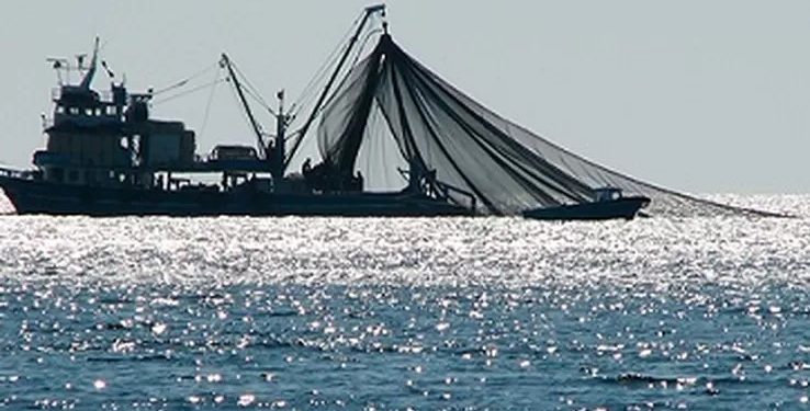 Penangkapan Ikan dengan Cantrang Hasilkan Emisi Karbon yang Signifikan
