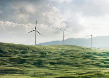 PLN Raih Rp12 Triliun Green Loan untuk Program Energi Hijau