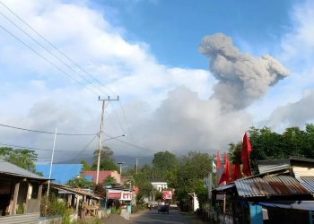 Kolom abu vulkanik berwarna kelabu membumbung akibat aktivitas erupsi yang terjadi pada Gunung Ibu yang terletak di barat laut Pulau Halmahera, Maluku Utara, Jumat (26/1/2024). (PVMBG)