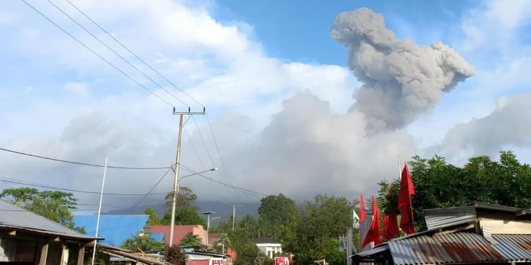 Kolom abu vulkanik berwarna kelabu membumbung akibat aktivitas erupsi yang terjadi pada Gunung Ibu yang terletak di barat laut Pulau Halmahera, Maluku Utara, Jumat (26/1/2024). (PVMBG)