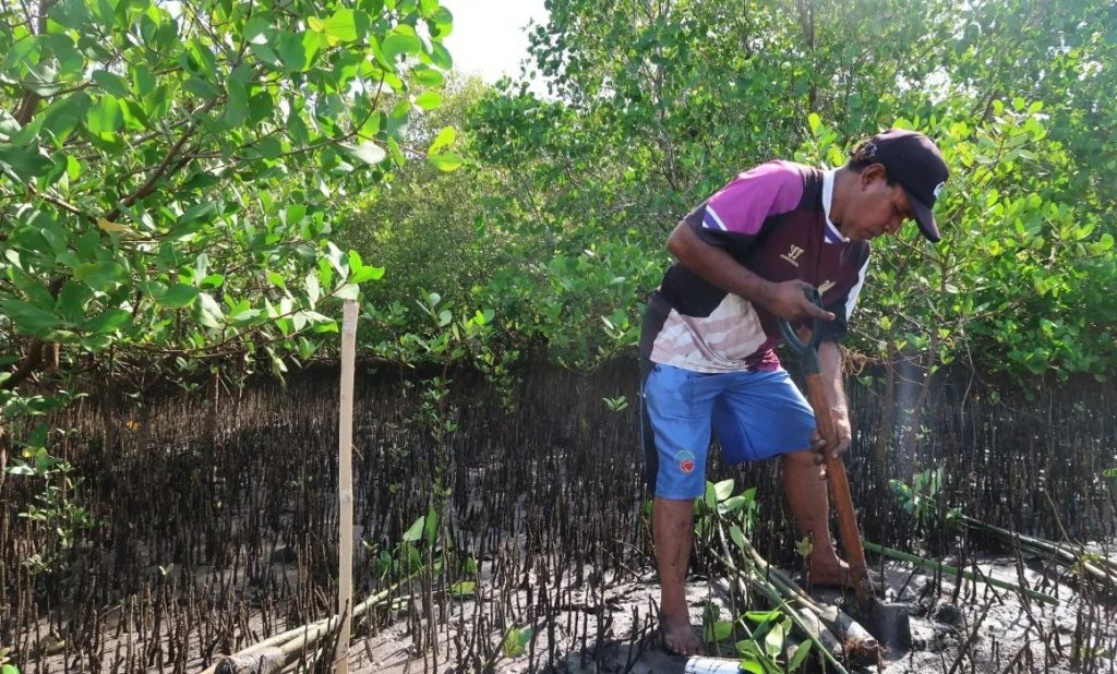 Warga menggali tanah untuk penanaman bibit mangrove jenis Rhizophora di kawasan pesisir Desa Tiwoho, Kecamatan Wori, Kabupaten Minahasa Utara, Provinsi Sulawesi Utara, Rabu. (Sugiharto Purnama)