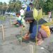 Warga yang terlibat pada aksi penanaman pohon bakau yang diinisiasi Asrikan Project di Pantai Mampie, Dusun Mampie, Kabupaten Polewali Mandar. (Istimewa)