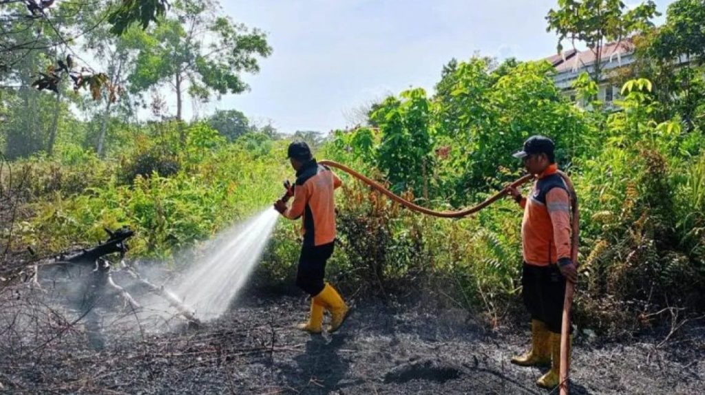 Petugas sedang memadamkan karhutla di Kelurahan Sungai Parit, Kabupaten Penajam Paser Utara (PPU), Kaltim, pada 30 Januari 2024.(DPKP Kabupaten PPU).