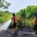 Petugas sedang memadamkan karhutla di Kelurahan Sungai Parit, Kabupaten Penajam Paser Utara (PPU), Kaltim, pada 30 Januari 2024.(DPKP Kabupaten PPU).