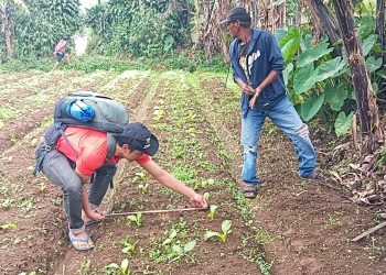 Warga Kampung Pulopanggang Batukarut, Desa Langensari, Kecamatan Sukaraja, Sukabumi, Jumat (24/5/2024) pagi digegerkan dengan temuan jejak-jejak kaki satwa liar.