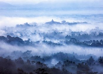 Konservasi Hutan di Pulau Jawa Jadi Sorotan