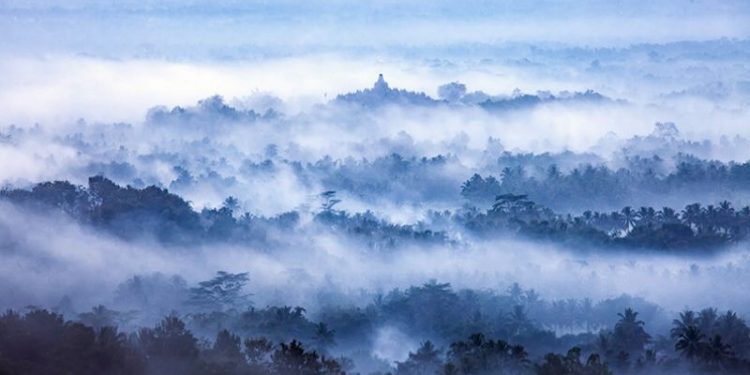 Konservasi Hutan di Pulau Jawa Jadi Sorotan