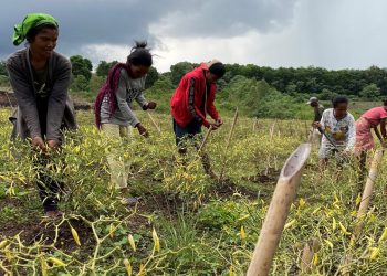 Krisis Iklim Paling Berdampak Terhadap Perempuan