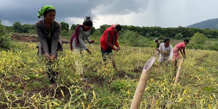 Krisis Iklim Paling Berdampak Terhadap Perempuan