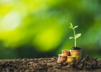 WWF Dorong Perbankan di Indonesia Perkuat Aksi Iklim