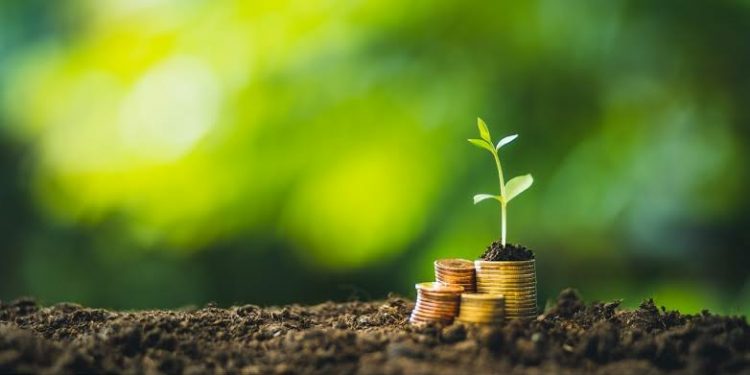 WWF Dorong Perbankan di Indonesia Perkuat Aksi Iklim