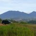 Camping Ground Bukit Aquila Suguhkan Eksotisme Gunung Gede-Pangrango