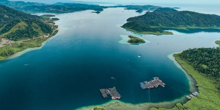 Indonesia Gaungkan Karbon Biru dalam Mitigasi Perubahan Iklim