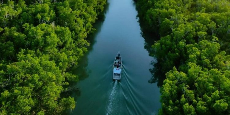 Taman Wisata Alam Menipo Ditetapkan Jadi Situs Ramsar ke-8 di Indonesia