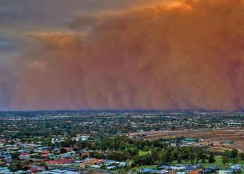PBB Deklarasi Melawan Badai Debu dan Pasir