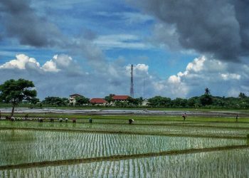 Perubahan Iklim Hambat Indonesia Swasembada Pangan