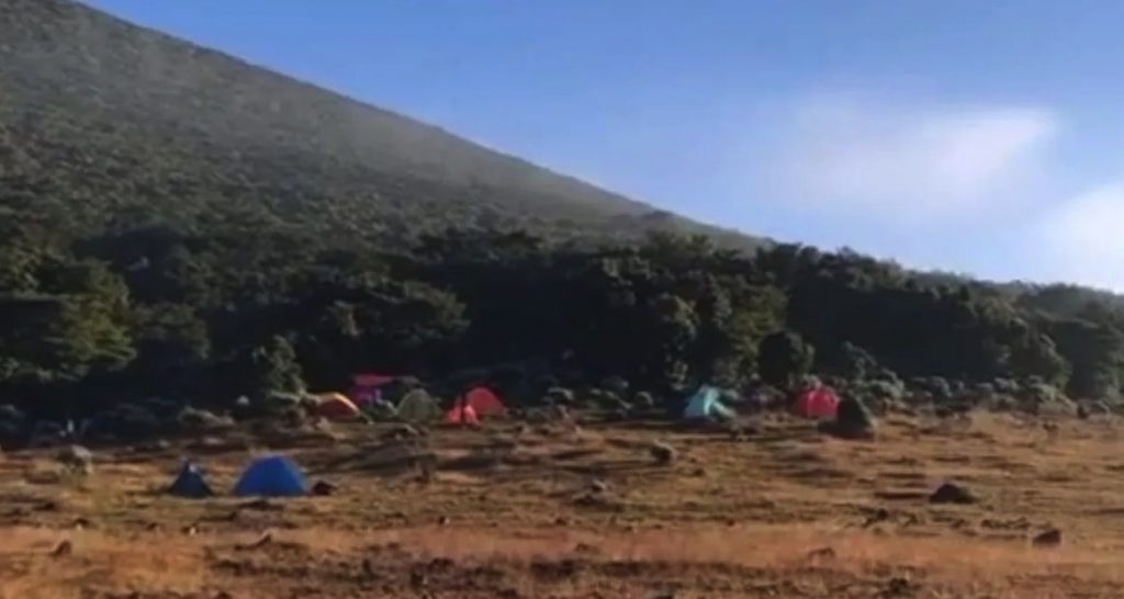 Kawasan Alun-alun Suryakancana Gunung Gede, diselimuti es sejak beberapa hari terakhir karena penurunan suhu lebih dingin terutama saat malam dan pagi hari. (Ahmad Fikri).
