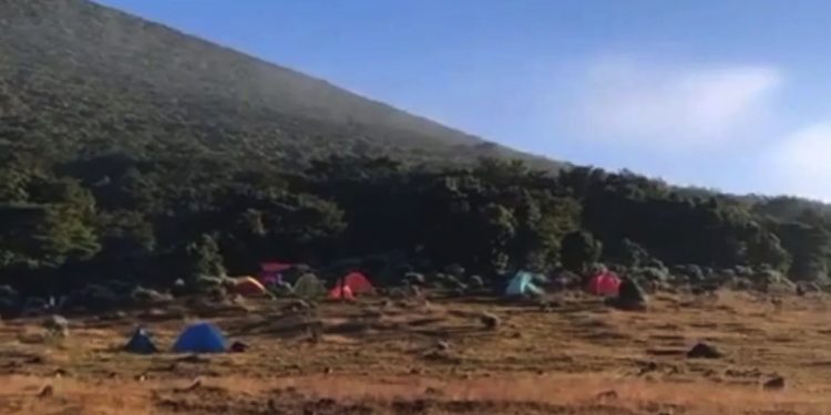 Kawasan Alun-alun Suryakancana Gunung Gede, diselimuti es sejak beberapa hari terakhir karena penurunan suhu lebih dingin terutama saat malam dan pagi hari. (Ahmad Fikri).