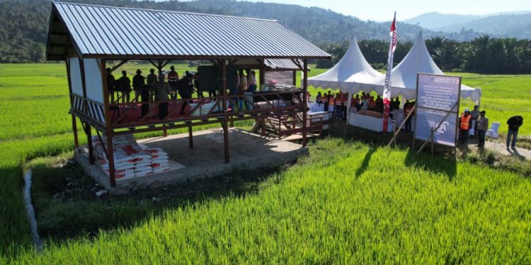 Pemerintah Apresiasi Praktek ESG Ceria Group