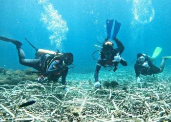 Dukung Ekonomi Biru, CTC Kembangkan Kawasan Konservasi Laut Indonesia