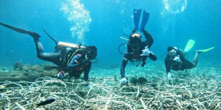 Dukung Ekonomi Biru, CTC Kembangkan Kawasan Konservasi Laut Indonesia