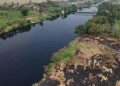 Sungai Ciujung Tercemar Limbah, Ratusan Hektar Tambak Terancam