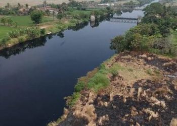 Sungai Ciujung Tercemar Limbah, Ratusan Hektar Tambak Terancam