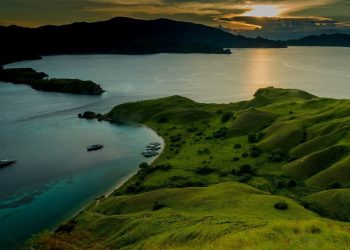 Lindungi Ekosistem, Taman Nasional Komodo akan Ditutup Berkala