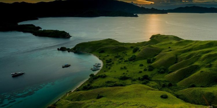 Lindungi Ekosistem, Taman Nasional Komodo akan Ditutup Berkala