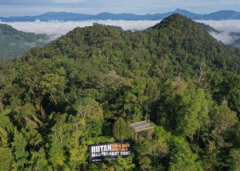 Bezos Earth Fund Komitmen Dukung Konservasi Hutan Adat di Indonesia