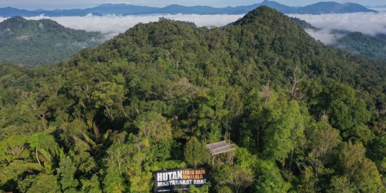 Bezos Earth Fund Komitmen Dukung Konservasi Hutan Adat di Indonesia