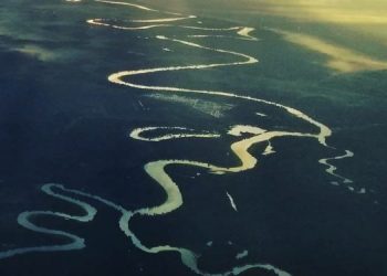 PLN Terus Kembangkan Hidrogen sebagai Energi Hijau Masa Depan