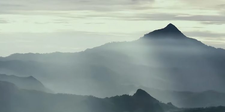 Indonesia Deklarasikan Penetapan Taman Nasional Mutis Timau