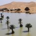 Gurun Sahara Dilanda Banjir akibat Perubahan Iklim