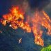 WMO: Gas Rumah Kaca di Atmosfer Capai Rekor Tertinggi
