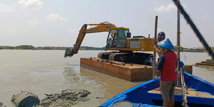 Sedimentasi Dimanfaatkan untuk Merehabilitasi Ekosistem Pesisir Morodemak