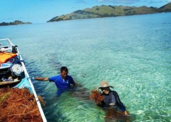 Ekonomi Biru: Masyarakat Pesisir Memainkan Peran Kunci