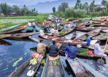 GCEW: Krisis Air Global Ancam Produksi Pangan Dunia