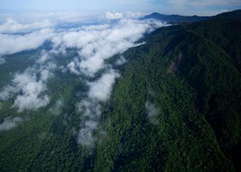 Taman Nasional Mamberamo Resmi Dideklarasikan