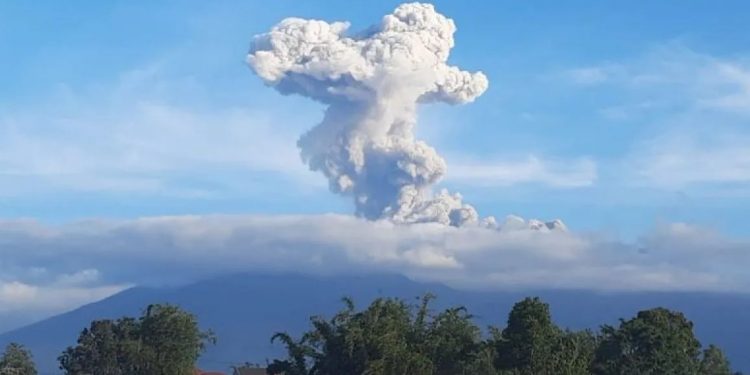 Gunung Marapi Sumatera Barat (2.891) Mdpl kembali erupsi dengan ketinggian abu vulkanik mencapai 1.000 meter dari atas puncak pada Sabtu (26/10/2024). ANTARA/Al Fatah/pri.