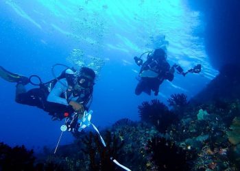 Konservasi Terumbu Karang di Papua Penting Bagi Indonesia dan Dunia