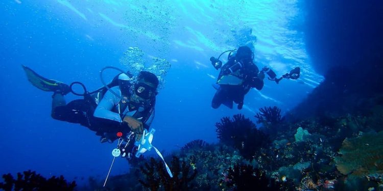 Konservasi Terumbu Karang di Papua Penting Bagi Indonesia dan Dunia