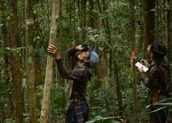 Masyarakat Adat Kalimantan Bicara Konservasi Keanekaragaman Hayati di COP 16 CBD