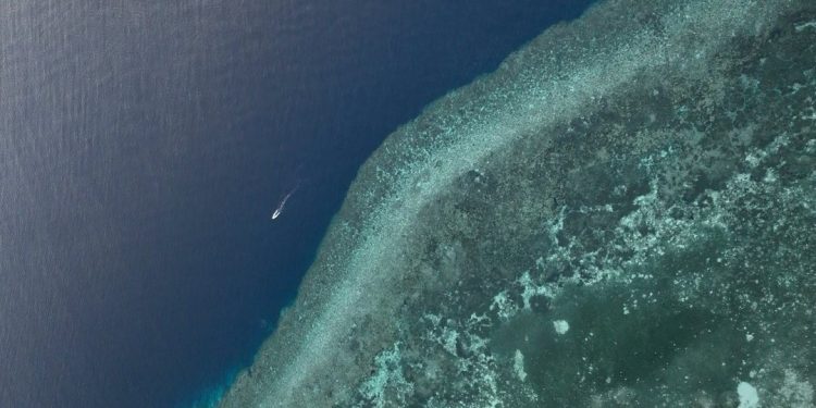 Ekonomi Biru akan Menopang Ketahanan Pangan