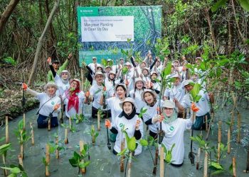 AKSI IKLIM: B.Braun dan Wastehub Tanam Mangrove di Pesisir Jakarta dan Bali