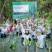 AKSI IKLIM: B.Braun dan Wastehub Tanam Mangrove di Pesisir Jakarta dan Bali
