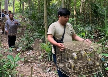 Ratusan Burung Dikembalikan ke Habitatnya di Hutan Buleleng