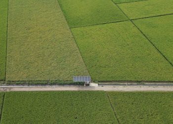 Dukung Ketahanan Pangan, Pertamina Hadirkan Desa Energi di Indramayu