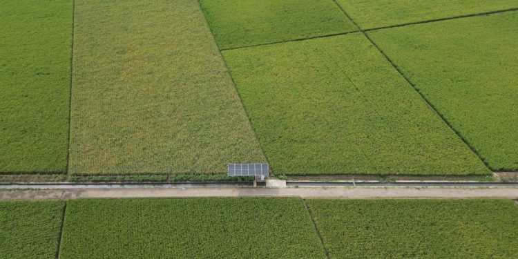 Dukung Ketahanan Pangan, Pertamina Hadirkan Desa Energi di Indramayu